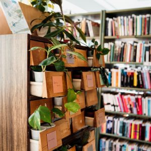 Laagna raamatukogus on avatud taimevahetuskapp!